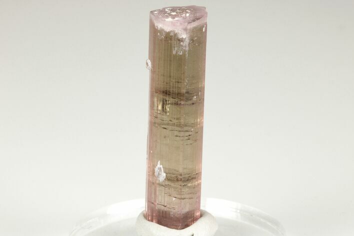 Beautiful, Bi-Colored Tourmaline - Himalaya Mine, California #206123